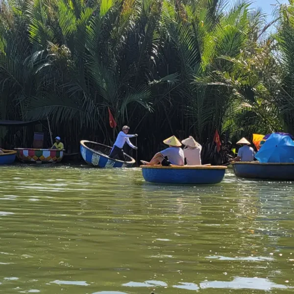 Giới Thiệu Rừng Dừa Bảy Mẫu