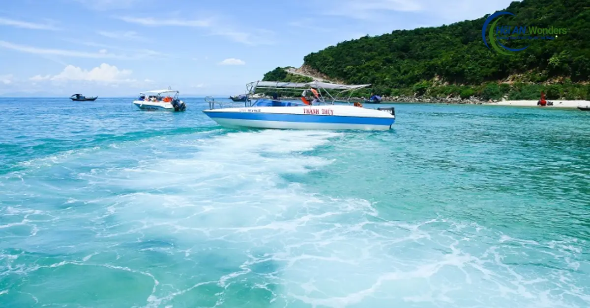 bảo tồn cù lao chàm