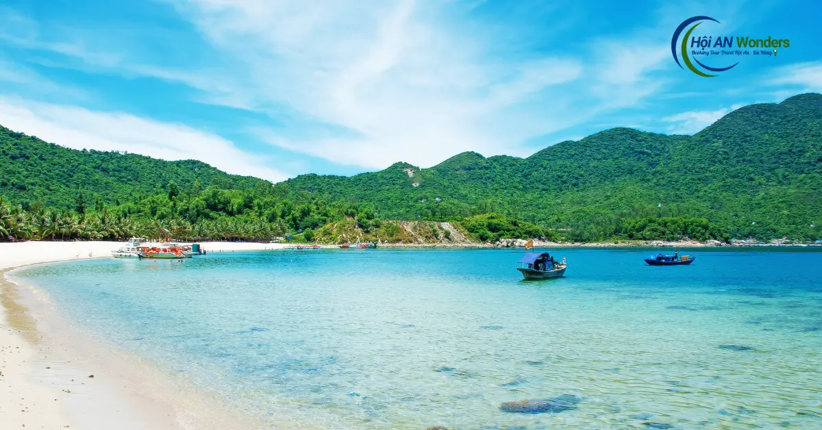 bảo tồn cù lao chàm