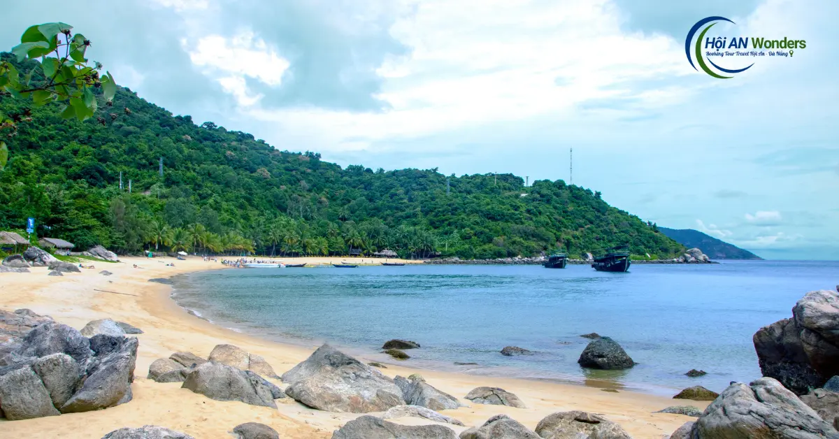 bảo tồn cù lao chàm