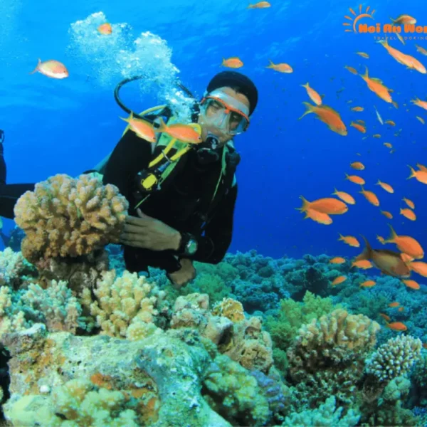 Alternative view of A Snorkeling Paradise