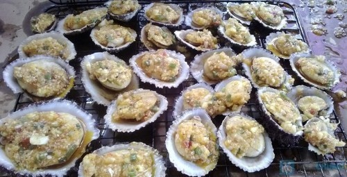 Cu Lao Cham Tour 1 Day 36 Fresh Abalone (Bào Ngư)