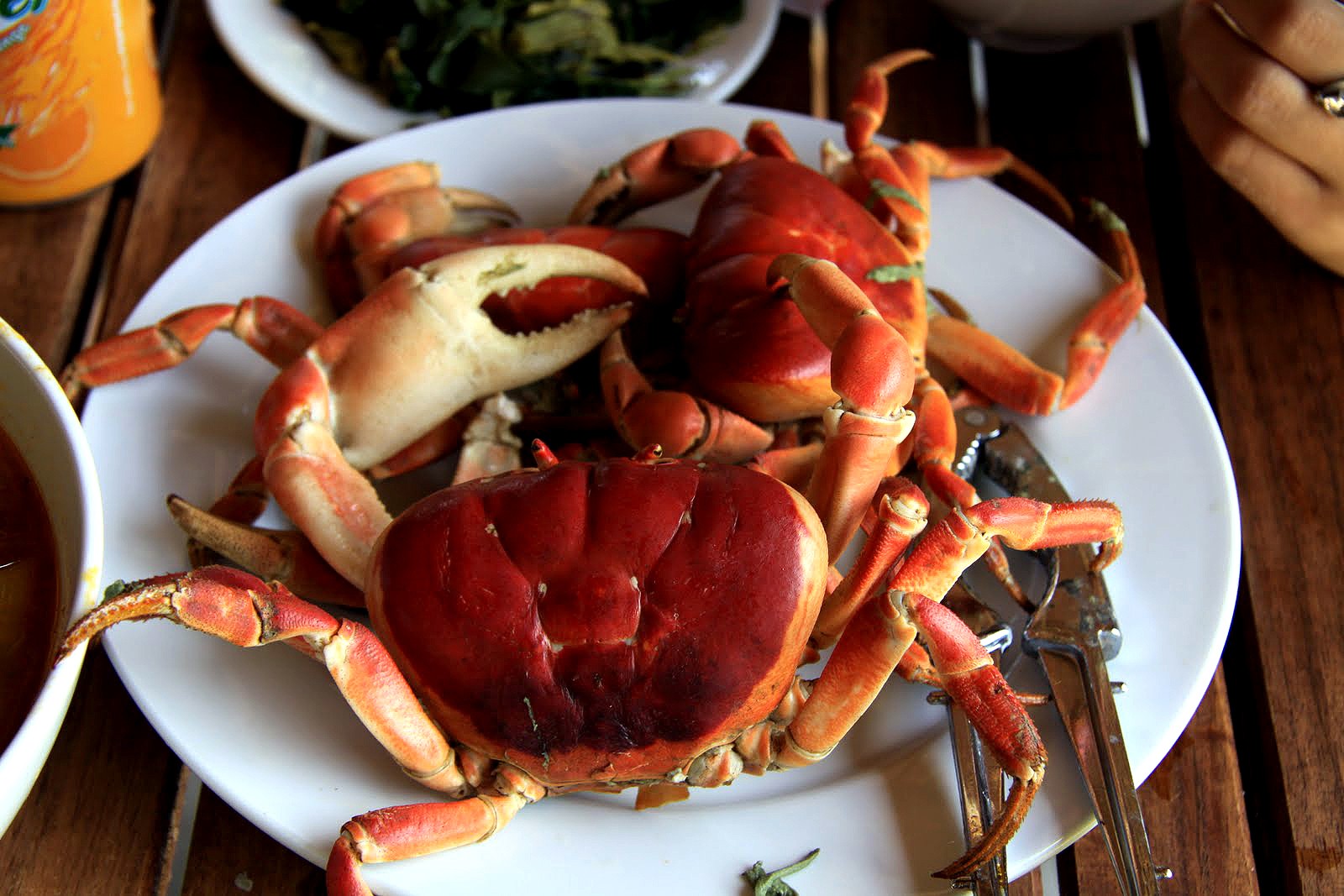 Cu Lao Cham Tour 1 Day 34 Stone Crab (Cua Đá) - The Mountain-Dwelling King