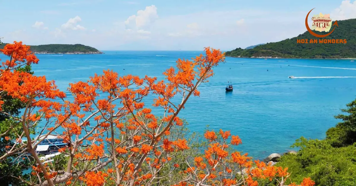 The Ultimate Cham Islands Survival Guide Thrive, Don't Just Arrive!
