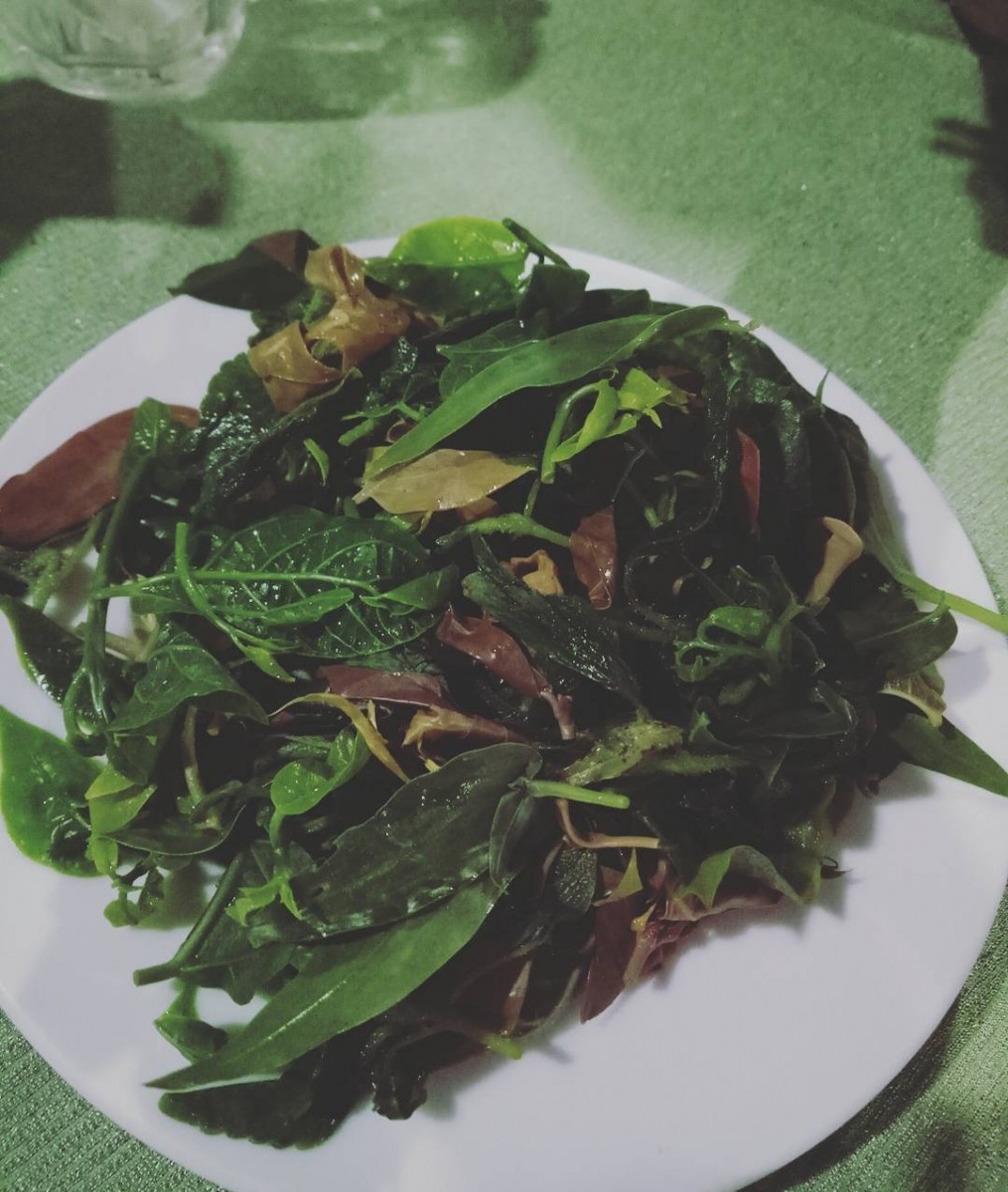 Cu Lao Cham Tour 1 Day 39 Wild Forest Vegetables (Rau Rừng)
