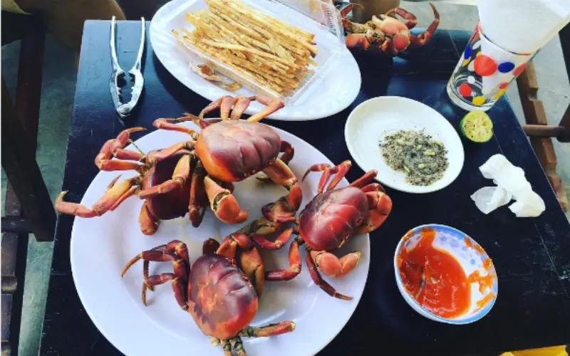 đặt tour cù lao chàm