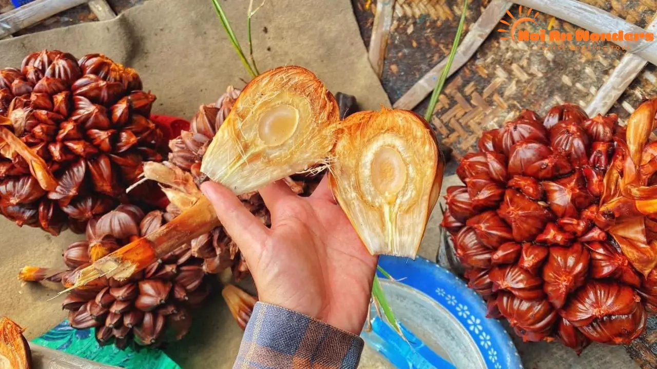 âm thực Rừng Dừa Bảy Mẫu Hội An