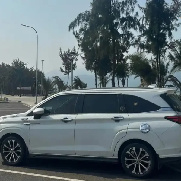 Da Nang to Hoi An Private Car